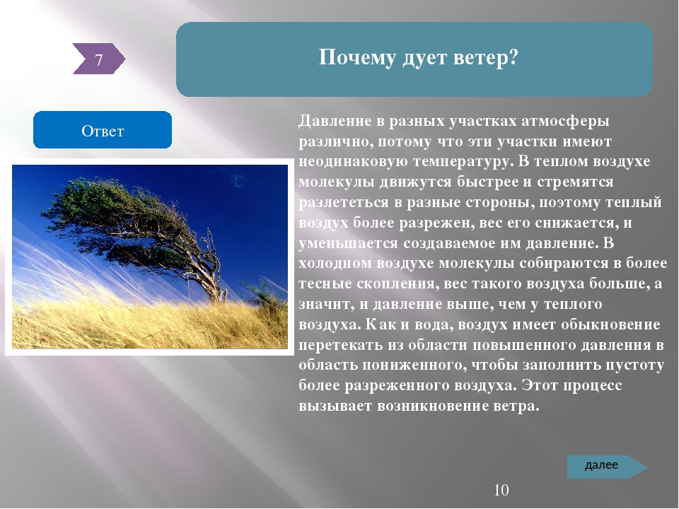 Суть ветра. Почему дует ветер. Сочинение на тему ветер. Зарождение ветра в природе.