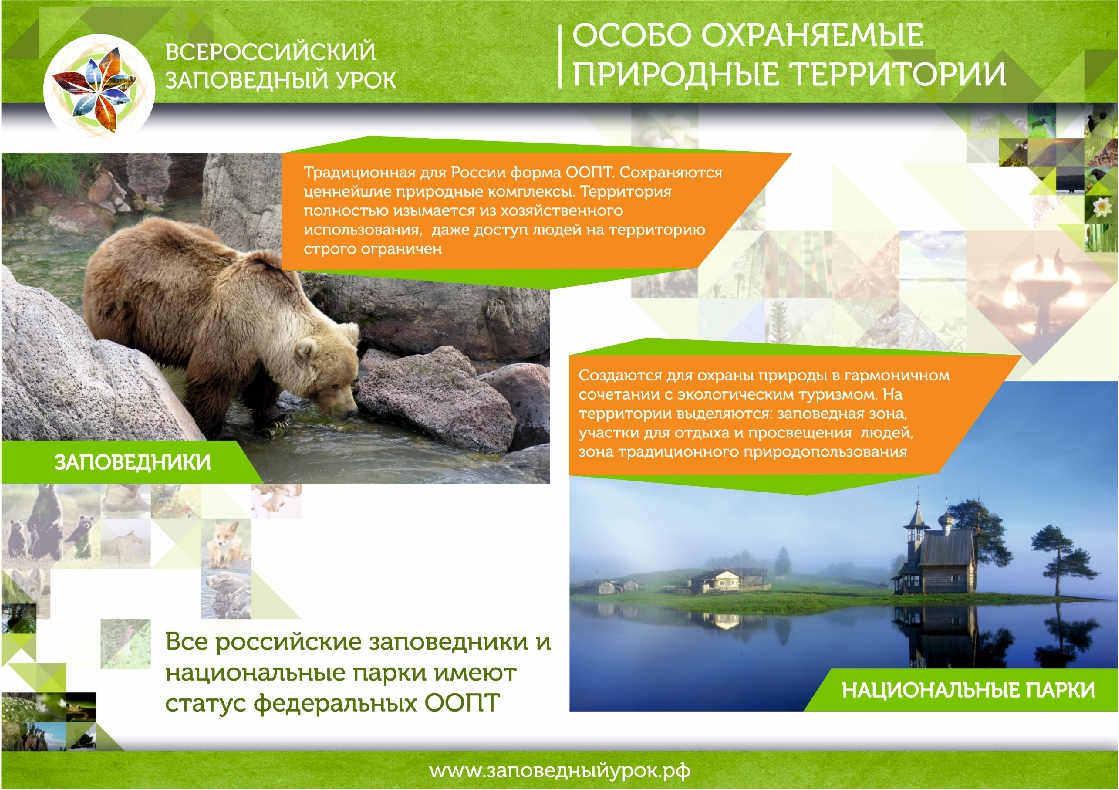 Как называется вид особо охраняемых природных территорий. Природа охраняемые территории заказники Москвы. Особоохроняемые природные территории. Особо охраняемые природные территории (ООПТ). ООПТ заповедники.