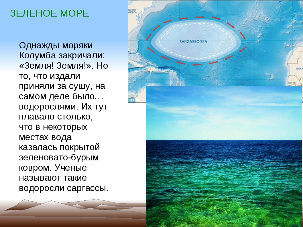 Какие 4 моря есть. Разноцветные моря проект. Название морей. Проект на тему цветные моря. Цветные названия морей.