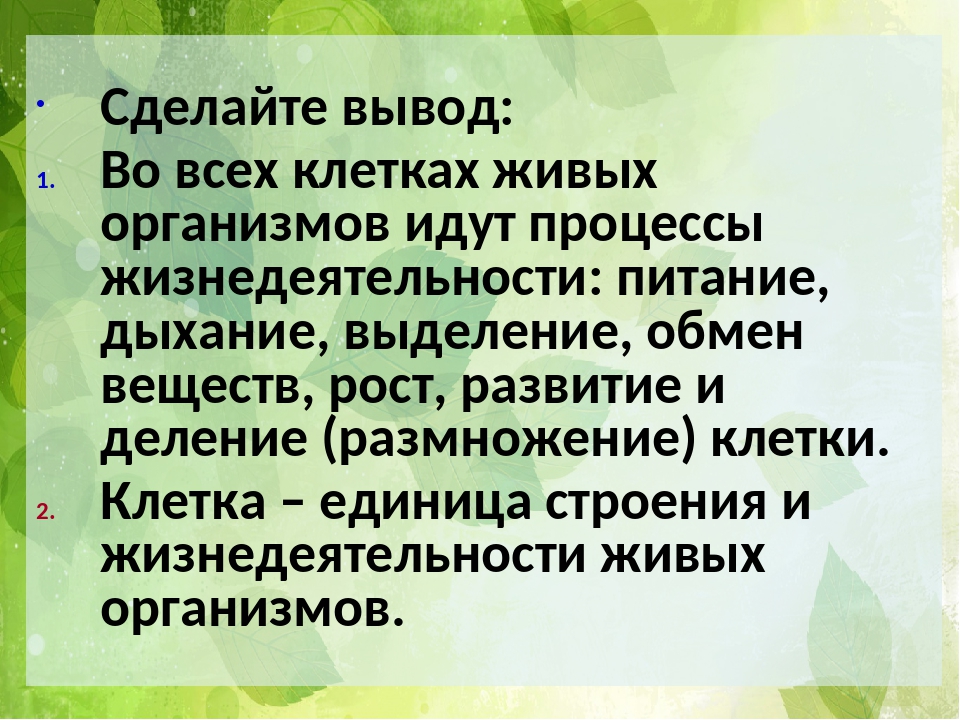 Класс жизнедеятельность организмов. Вывод о процессах жизнедеятельности клетки. Процессы жизнедеятельности клетки 5 класс биология. Жизнедеятельность клетки вывод. Жизнедеятельность клетки 5 класс биология.