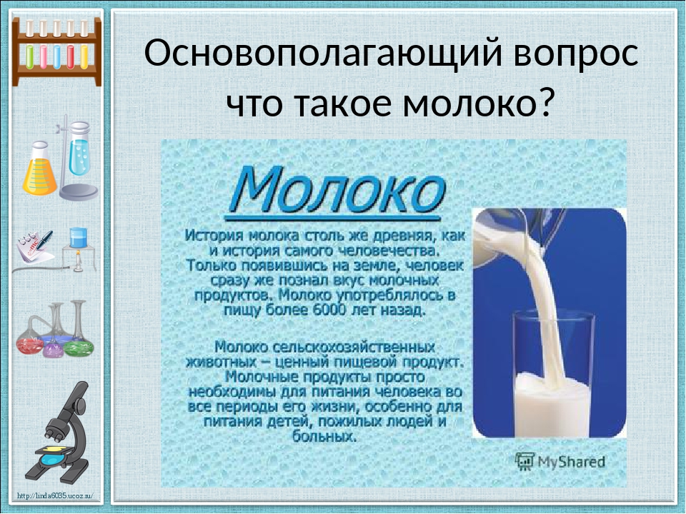 Проект про молоко 6 класс