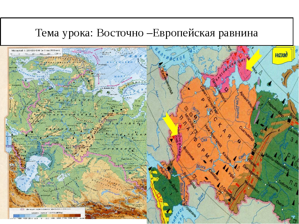 Максимальная высота восточно европейской равнины. Площадь Восточно европейской равнины на территории России. Север Восточно-европейской равнины на карте. Восточно-европейская равнина Европейский Север. География Восточно европейской равнины.