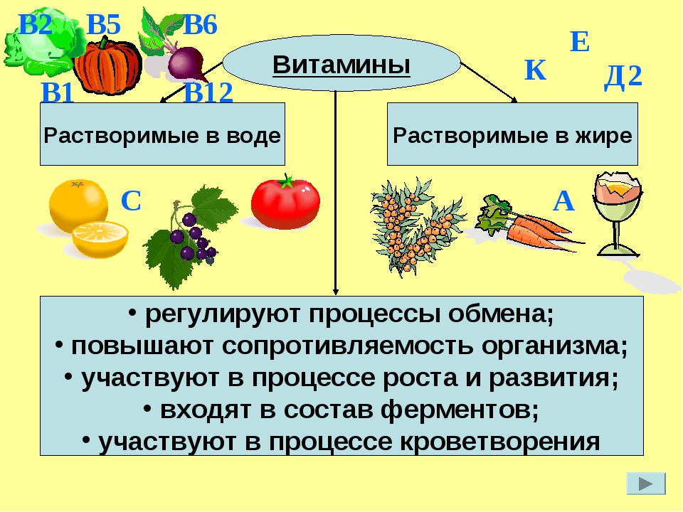 Проект на тему биологически активные вещества витамины