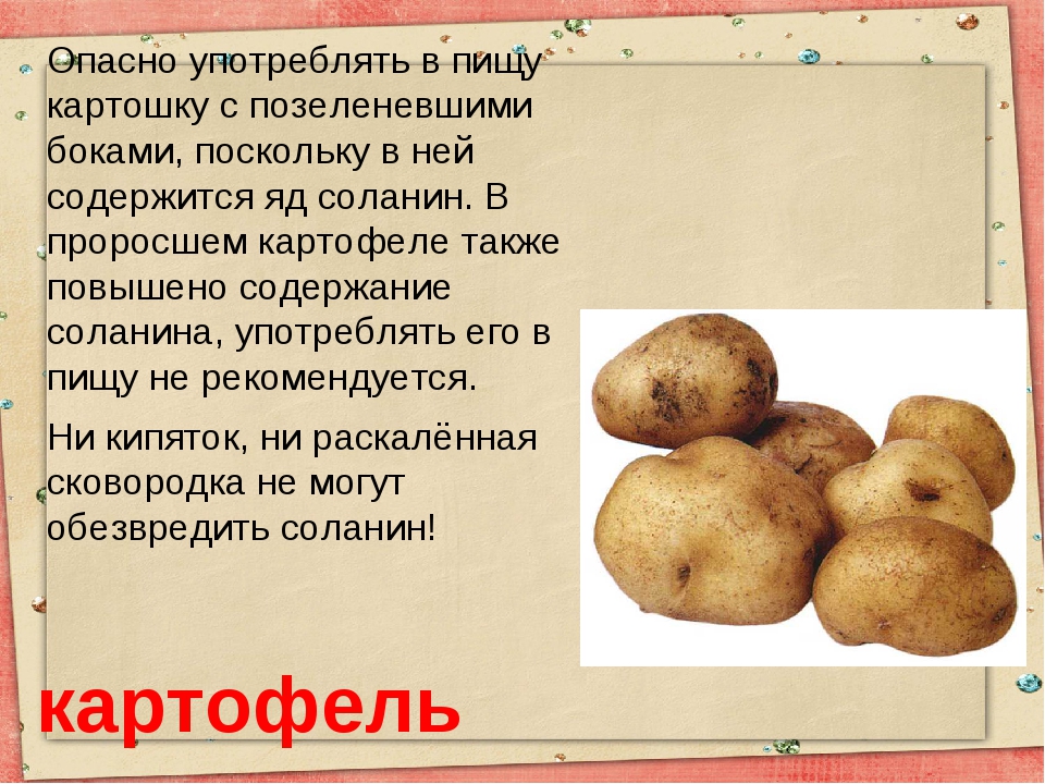 Можно ли есть картошку. Соланин в картофеле. Употребление картошки в пищу. Вредная картошка. Ядовитая часть картофеля.