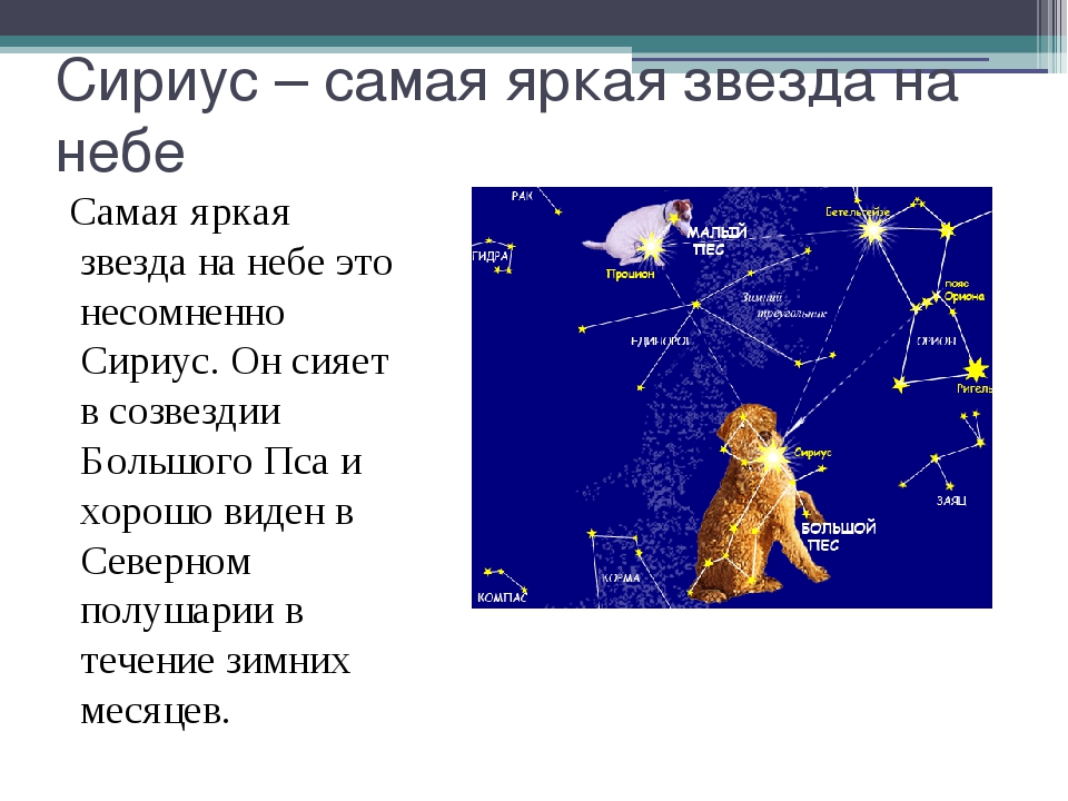 Презентация про звезду сириус