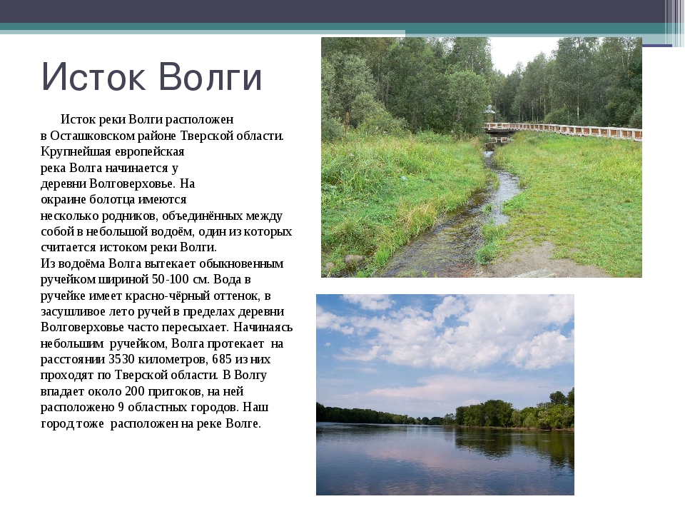 Начинали где находятся. Река Волга где находится Исток реки. Волга река её Исток. Начало реки Волги Исток. Тверская область начало реки Волга.