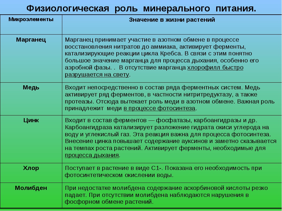 Какова роль клеток в жизни. Физиологическая роль минерального питания. Макроэлементы растений. Физиологическая роль элементов. Роль микроэлементов в жизнедеятельности растений.