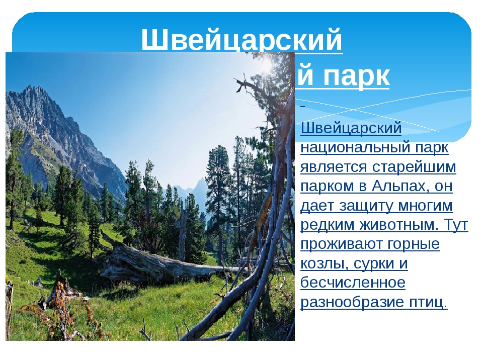 Классы национальных парков. Национальные парки мира проект 4 класс. Национальные парки мира сообщение. Национальный парк мира проект 4 класс. Национальные парки мира проект 4 класс окружающий мир.