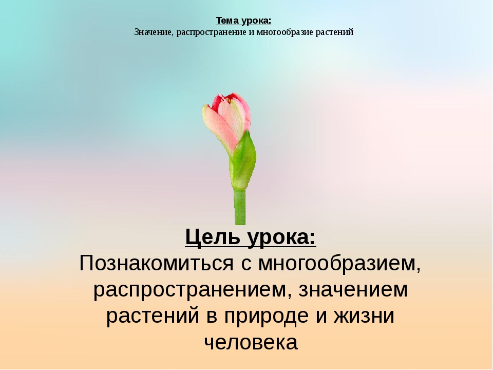 Разнообразие распространение значение растений 5 класс презентация