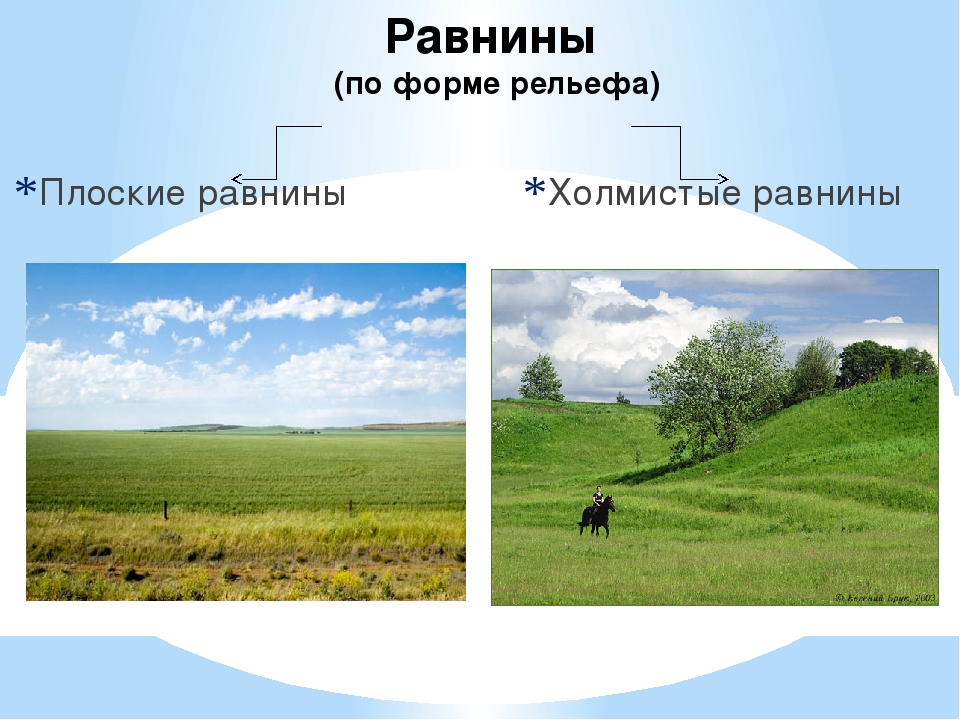 Как называются возвышения на равнинах. Плоские и холмистые равнины. Холмистая равнина. Холмистые и плоские равнины России. Равнины по форме.