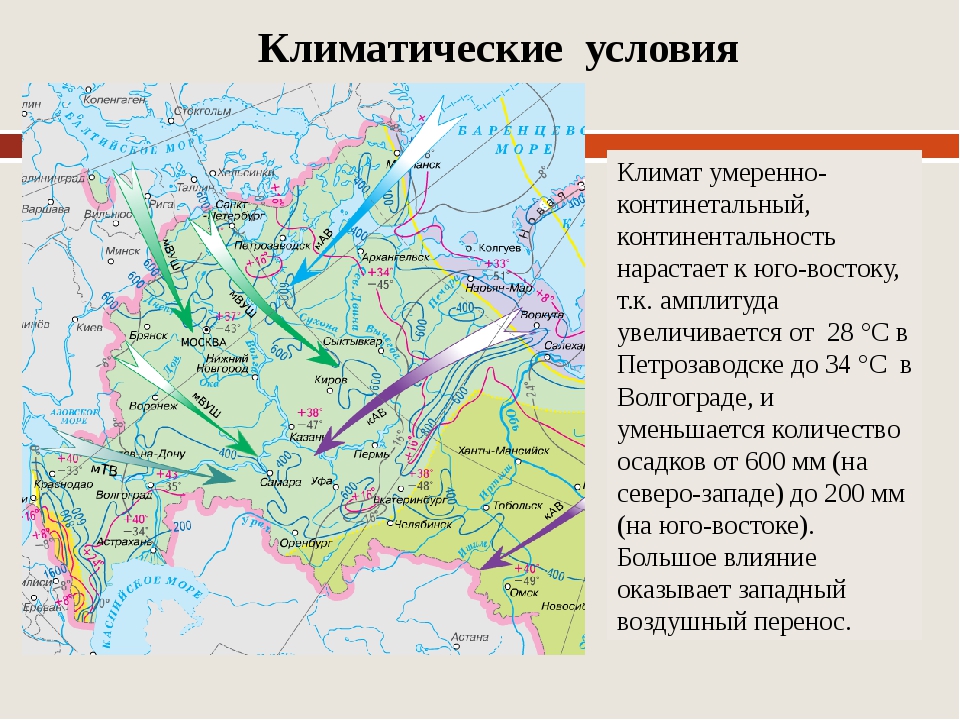 Цвет равнин на карте. Прикаспийская низменность низменность на карте России. Прикаспийская низменность Восточно-европейская карта. Климат русской равнины 8 класс. Восточно-европейская русская равнина 8 класс.