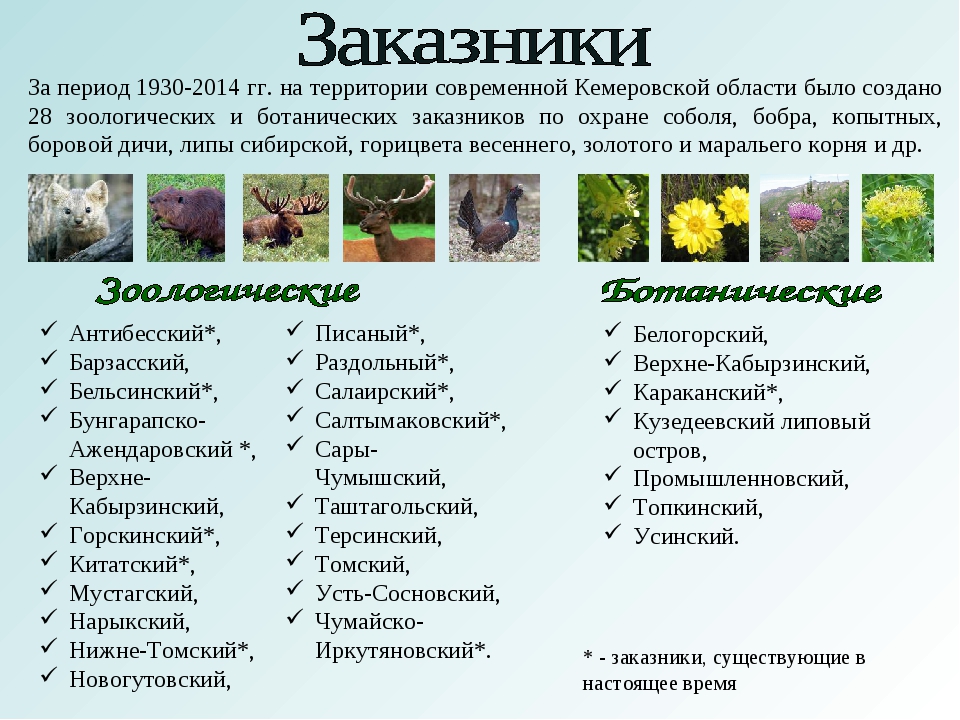 Список заповедников. Заказники Кемеровской области. Список заказников. Заповедники и заказники Кемеровской области. Заказники на территории Кемеровской области.