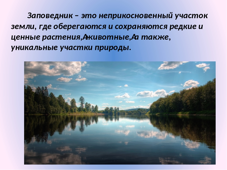 Целью заповедников является. Заповедник. Заповедник это определение. Заповедник понятие для детей. Заповедники это участки земли.