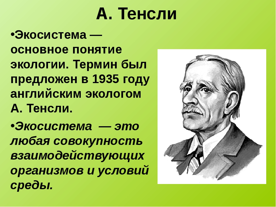 Термин ф. Артур Джордж Тенсли. Артур Тенсли вклад в экологию. Артур Тенсли портрет. Артур Тенсли вклад в биологию.