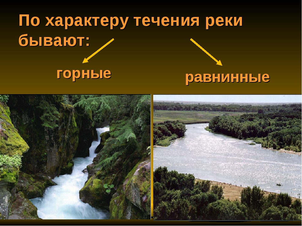 По равнине протекают реки. Горные и равнинные реки. Равнинная река. Равнинные реки и горные реки. Характер течения горных рек.