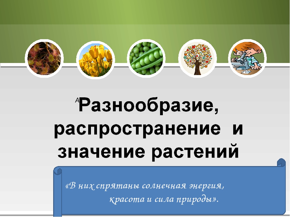 Разнообразие распространение значение растений 5 класс презентация