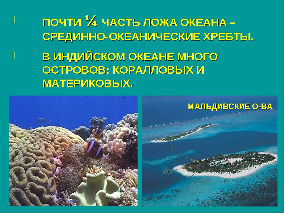 План описания индийского океана. Индийский океан презентация. Презентация на тему океаны. Интересные факты по индийскому океану.