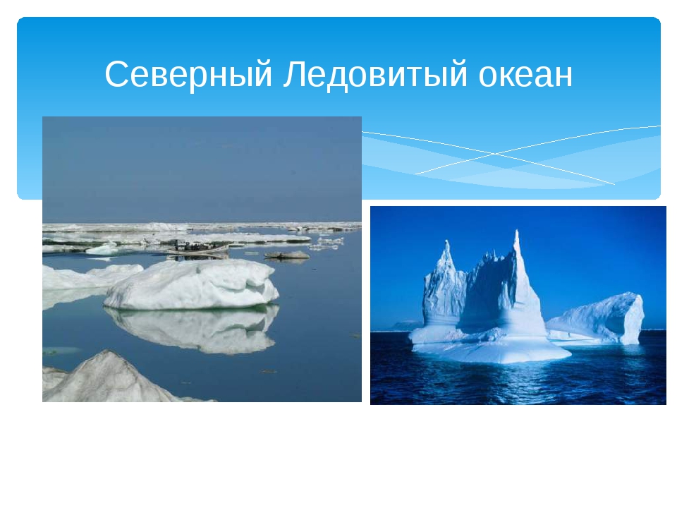 Размеры северного ледовитого океана. Открытие Северного Ледовитого океана. Площадь Северного Ледовитого океана. Реки Северо Ледовитого океана. Северный Ледовитый океан другое.