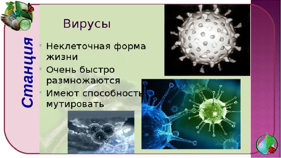 Вирус является формой жизни. Вирусы неклеточные формы жизни. Неклеточные организмы вирусы. Вирусы как неклеточная форма жизни. Неклеточное строение вирусов.