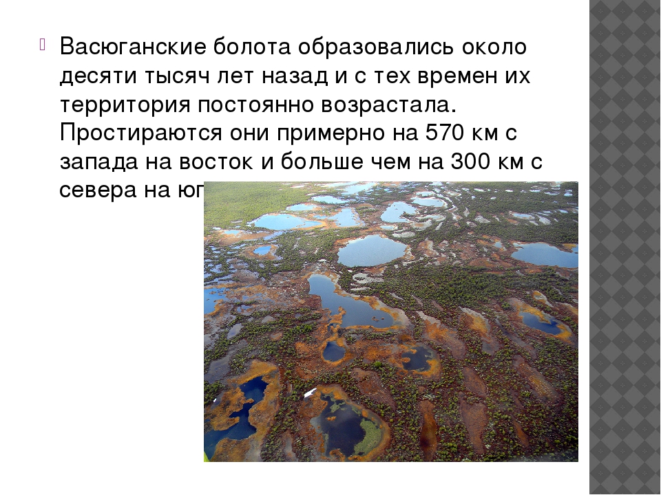Где находится болотное. Васюганские болота, Западная Сибирь. Васюганские болота территория. Васюганские болота на карте Западной Сибири. Васюганские болота заповедник на карте.