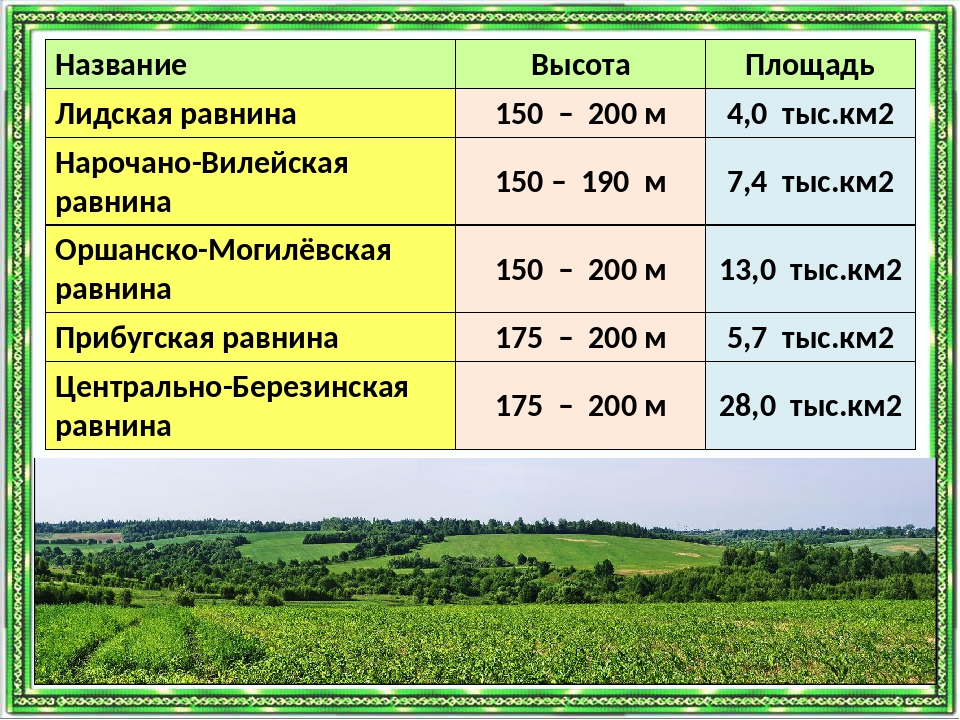 Низменность имеют высоту. Название равнин. Название низменности и их высота. Равнины и их высота и название. Белоруссия форма рельефа.