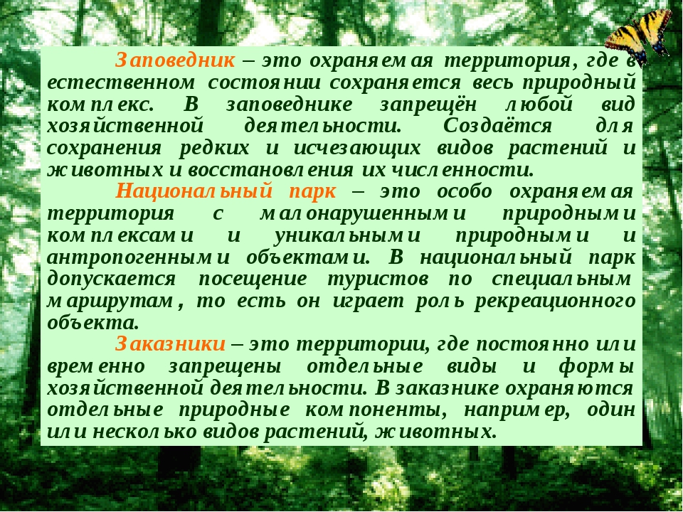 Территория это. Заповедник. Заповедник это определение. Что такое заповедник для детей. Заповедники России это определение.