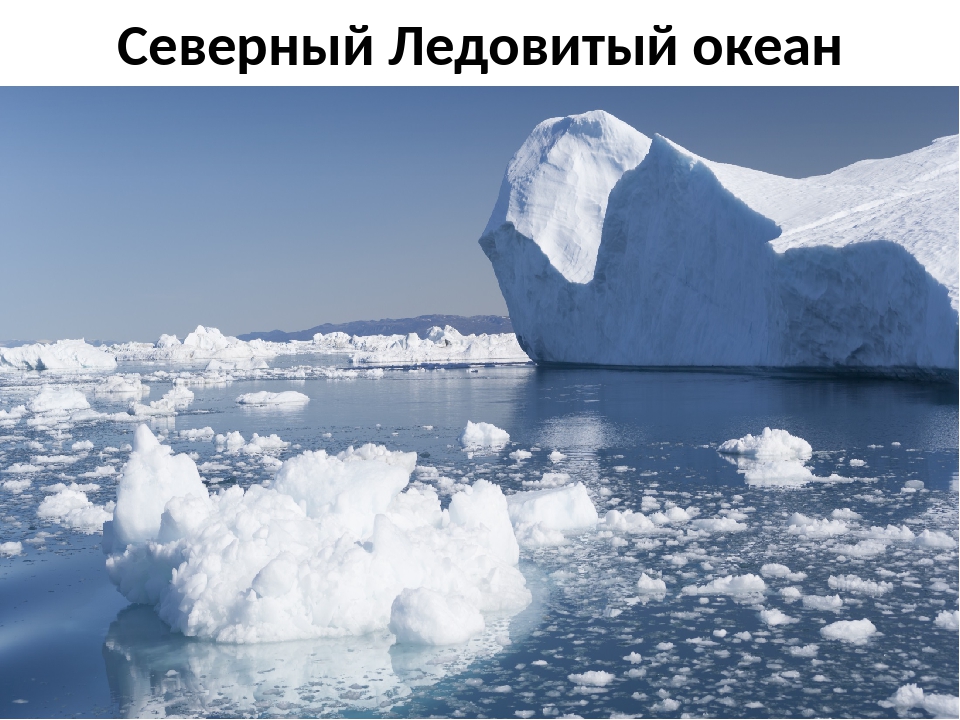 Как пишется ледовитый океан. Океан Северо северно Ледовитый. Северно Ледовитый океан Ледовитый. Северный Ледовитый океан 7. Океан Северный Ледовитый океан.