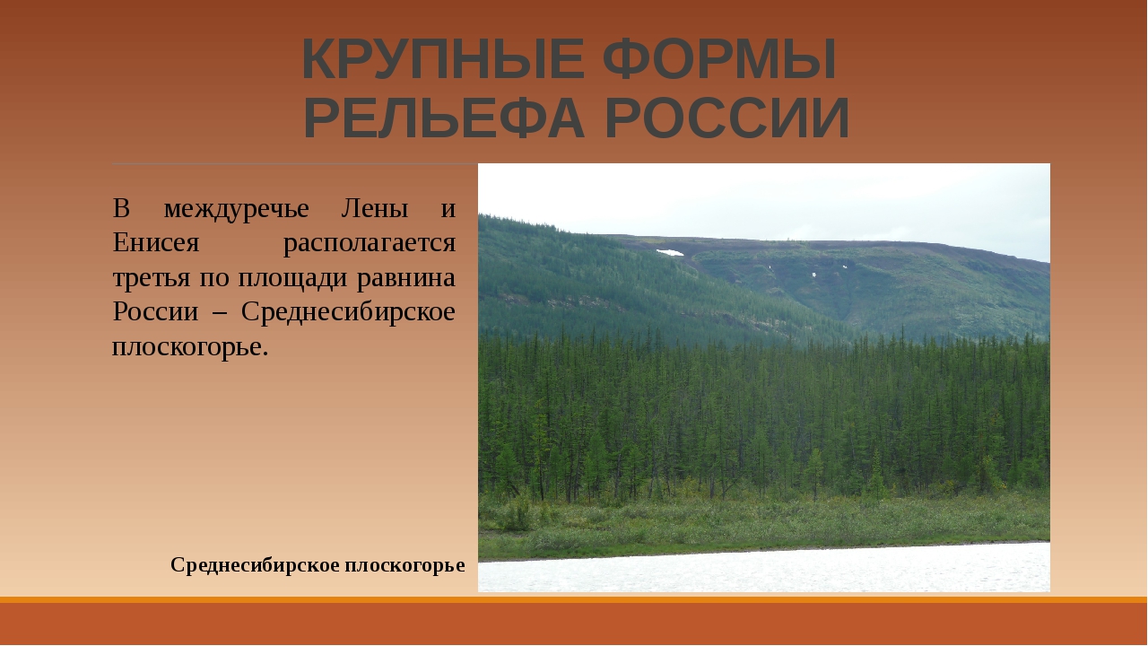 Какая форма рельефа соответствует среднесибирское. Среднесибирское плоскогорье площадь. Формы рельефа в России Среднесибирское плоскогорье.