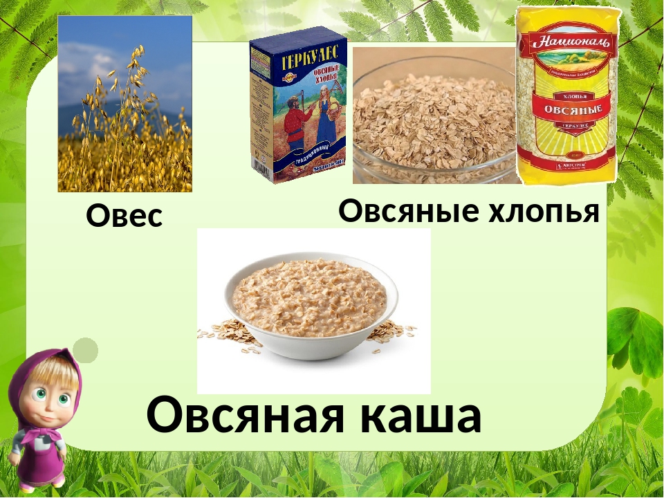 Из какой крупы какую кашу делают из