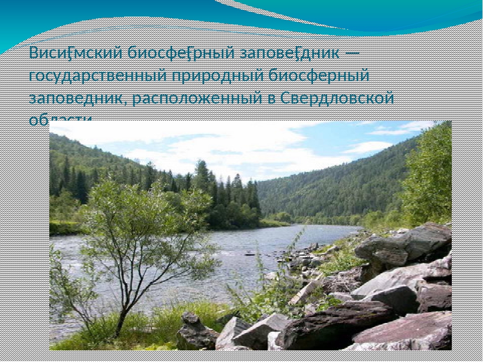 Презентация на тему заповедники россии 9 класс