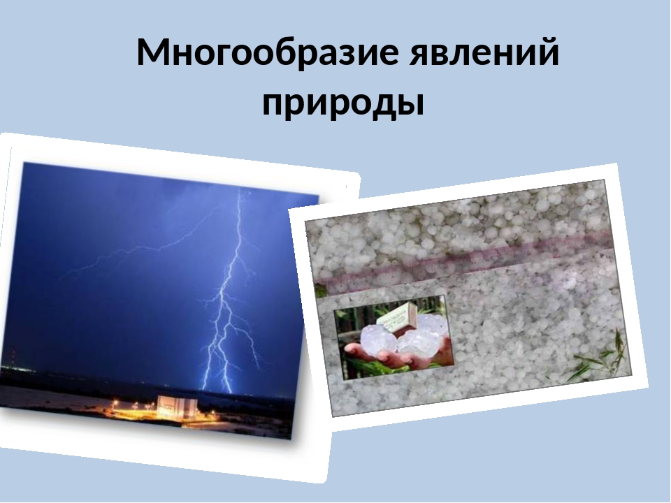 Явления природы 5 класс. Многообразие явлений в природе. Что такое разнообразие явлений природы. Многообразие явлений в природе 5 класс.