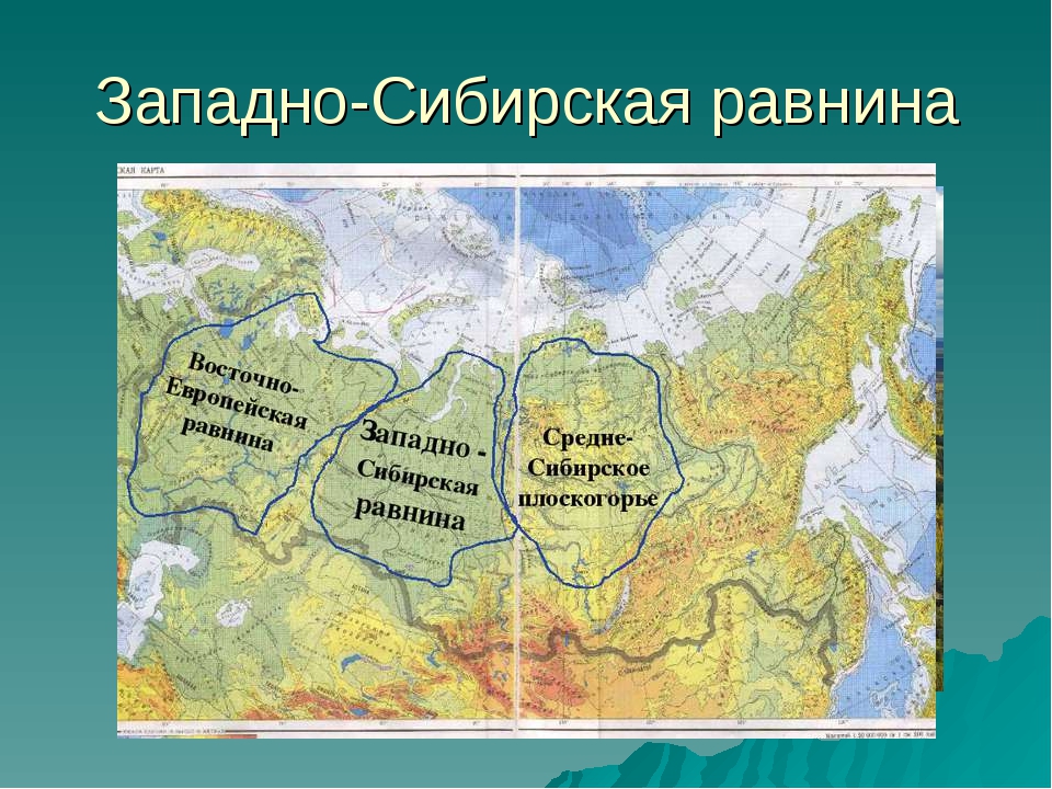 Западно восточная равнина на карте. Среднесибирское плоскогорье равнина на контурной карте. Восточно европейская Западно Сибирская Среднесибирское плоскогорье. Среднесибирское плоскогорье на карте. Низменности Западно сибирской равнины на карте.