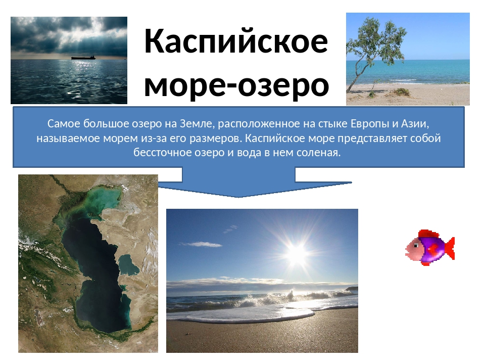 Каспийское море какое