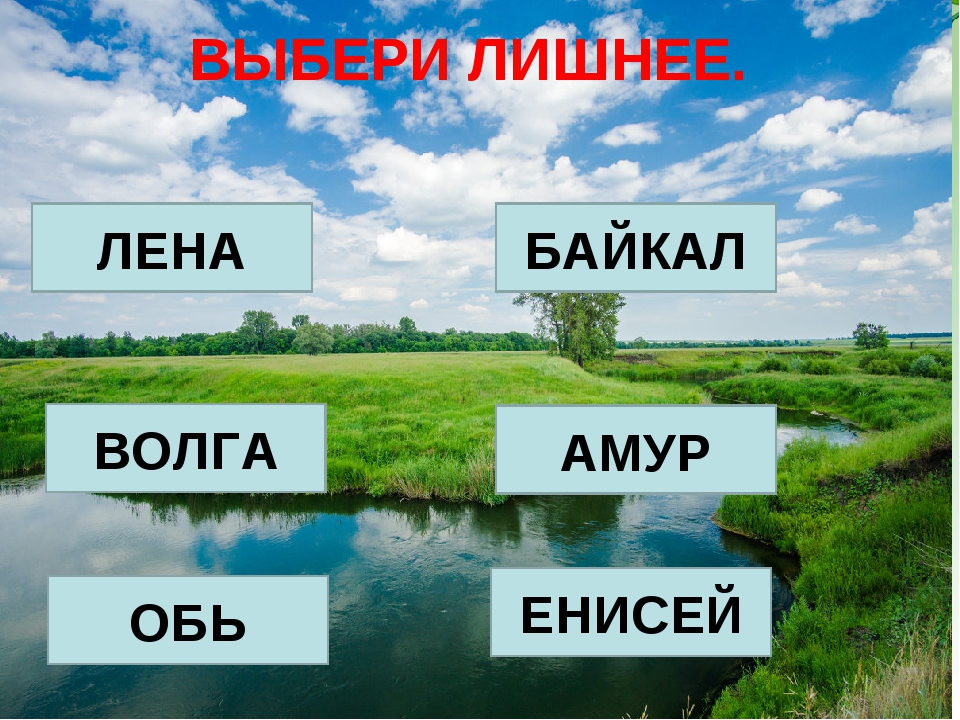 Реки обь енисей. Волга Обь Енисей Лена Амур. Обь Енисей Лена. Енисей, Лена, Обь, Волга. Реки Волга,Енисей,Лена,Обь и Амур.