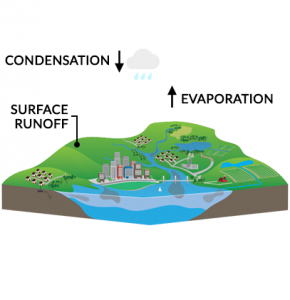 Water Cycle Evaporation Precipitation