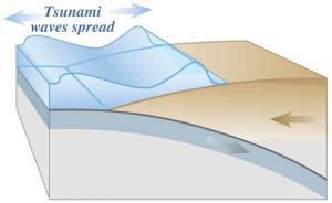 tsunami wave spreading