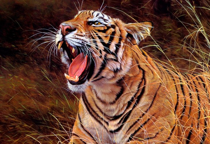 Природные враги тигров