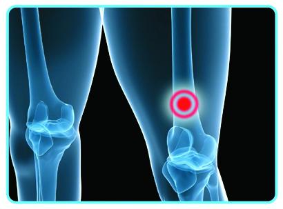 трубчатое вещество кости