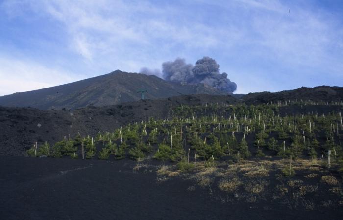 последствия извержения вулканов