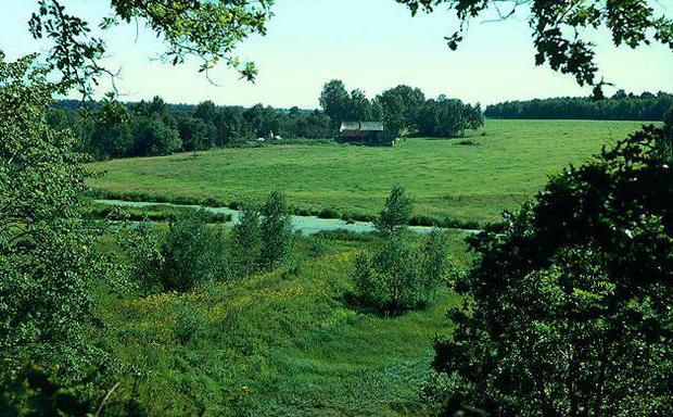 великие равнины площадь