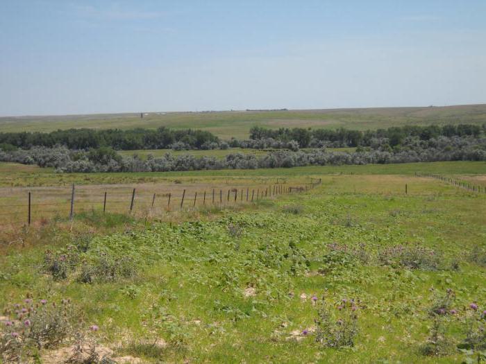 где находится великая китайская равнина