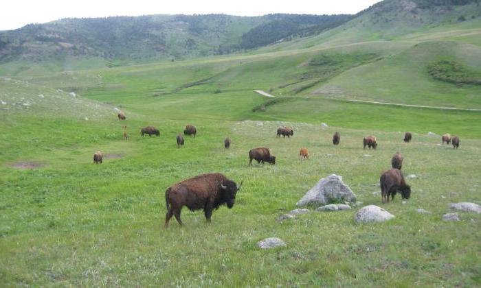 величайшая равнина мира