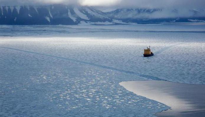 характеристики морей Северный Ледовитый океан