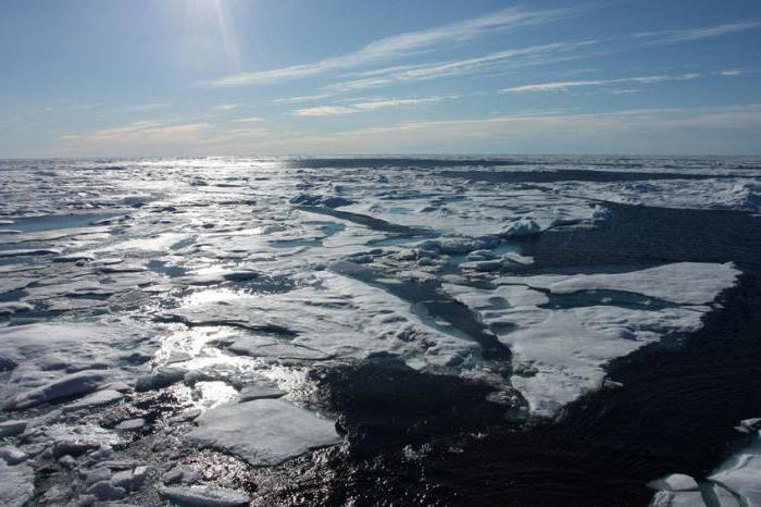 Северный Ледовитый океан моря