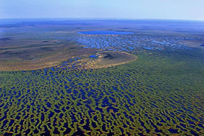 Largest swamp in the world