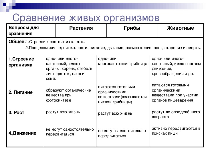 Процессы жизнедеятельности организмов 5 класс биология. Процессы жизнедеятельности растений характеристика размножения. Основные процессы жизнедеятельности животных таблица. Процессы жизнедеятельности растительных организмов. Процессы жизнедеятельности живых организмов таблица.