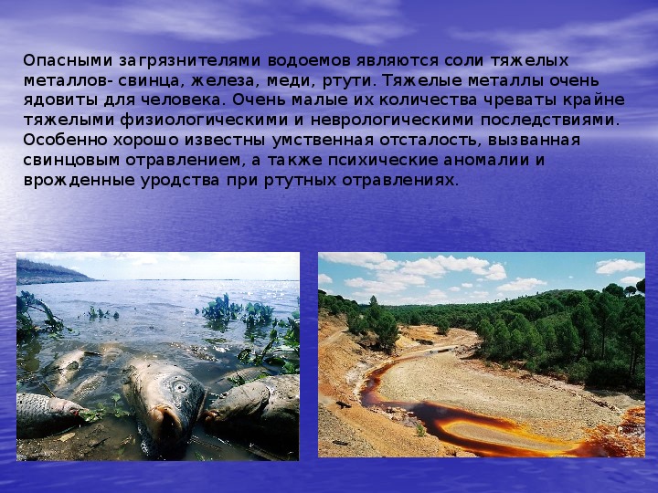 Влияние озер. Водные объекты презентация. Влияние загрязнений водных объектов на организм человека.. Водные объекты нашего края.