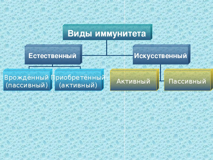 Иммунитет естественный и искусственный схема