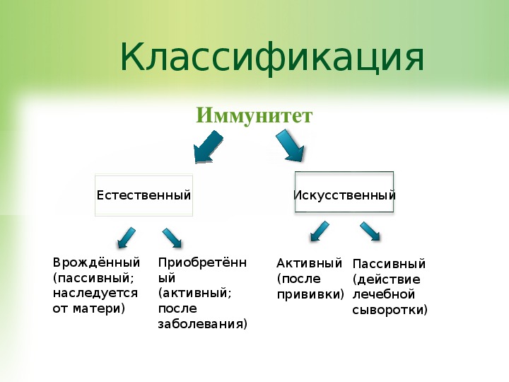 Иммунитет естественный и искусственный схема