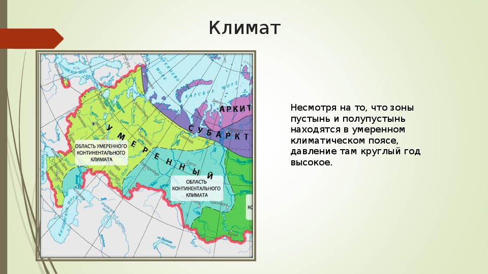 Степи расположены в климатическом поясе